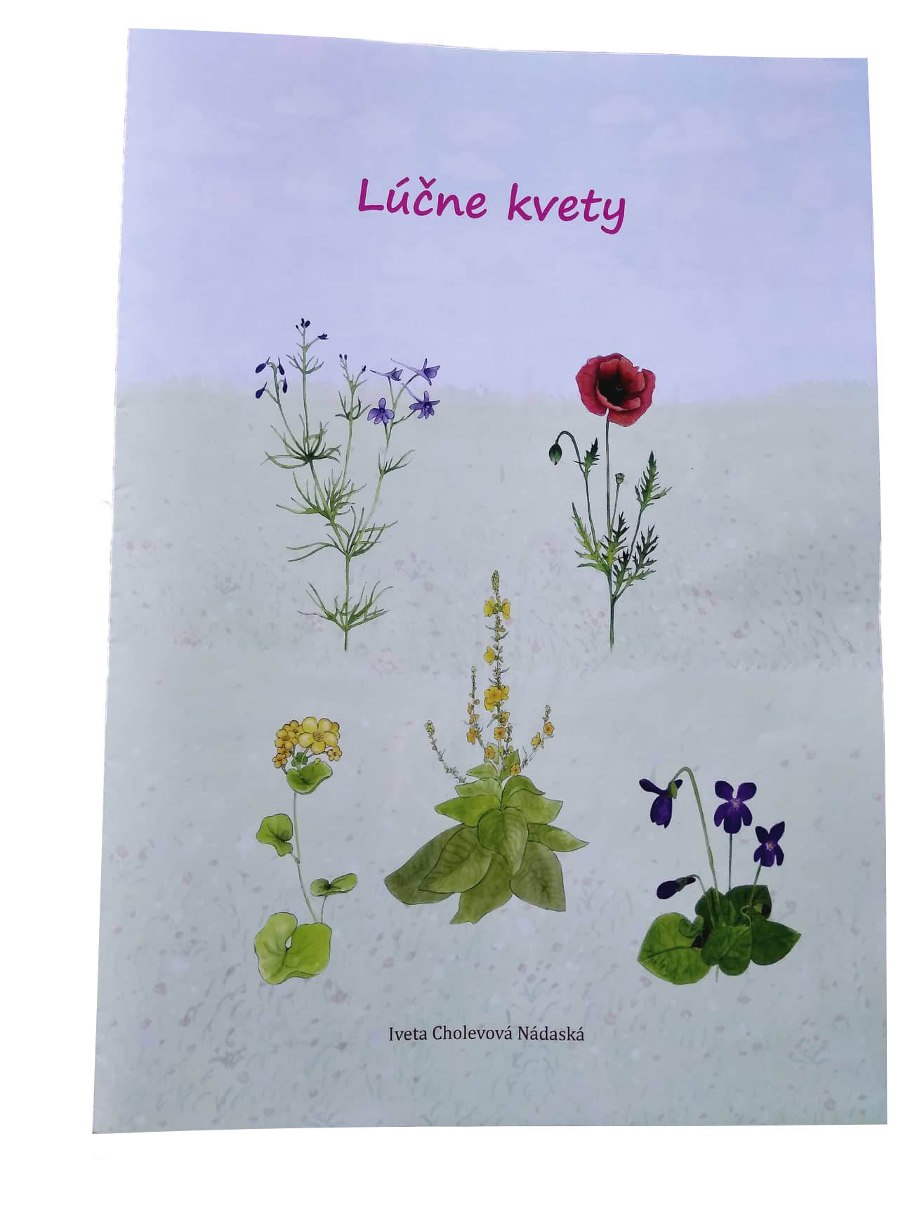 l-ne-kvety-pracovn-zo-it-www-agenturaluka
